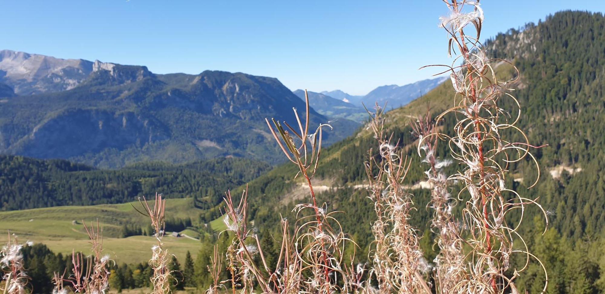 Ferienhaus Mountain View Spital Am Pyhrn Eksteriør bilde