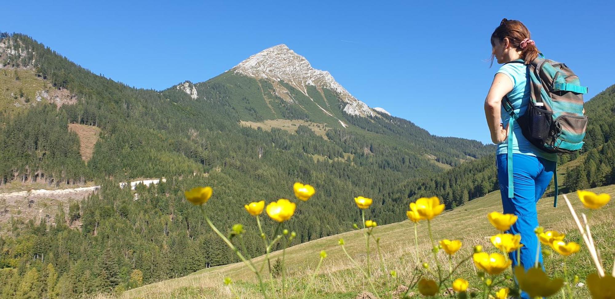 Ferienhaus Mountain View Spital Am Pyhrn Eksteriør bilde