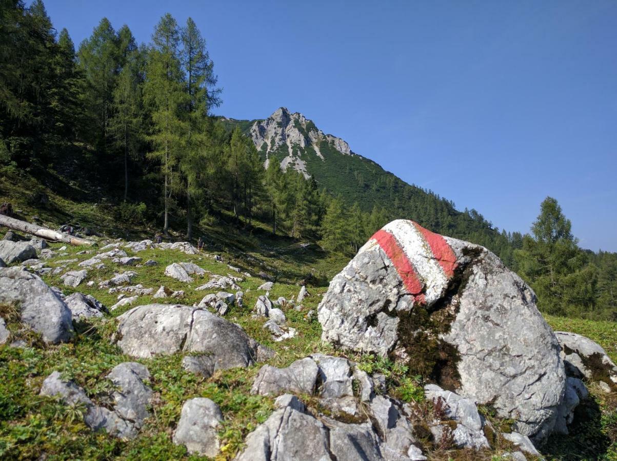 Ferienhaus Mountain View Spital Am Pyhrn Eksteriør bilde